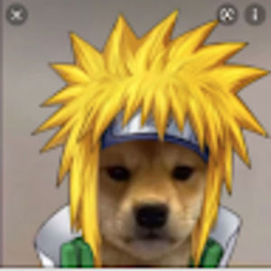 Meet your Posher, Canada